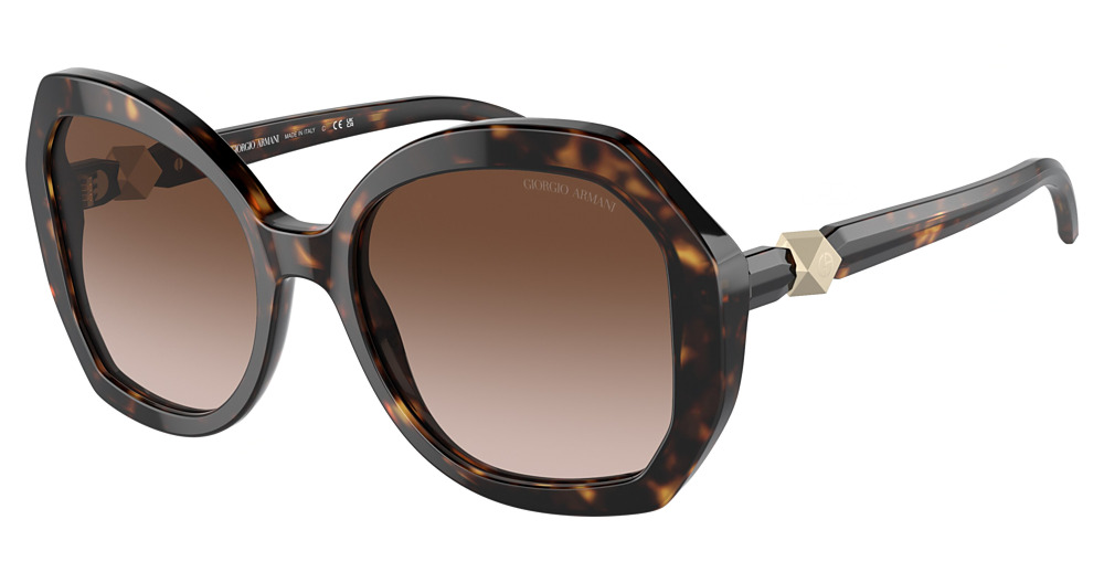 HAVANA / GRADIENT BROWN