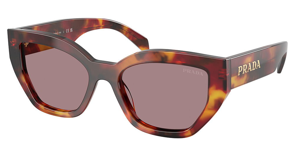 POPPY TORTOISE / LIGHT PURPLE BROWN