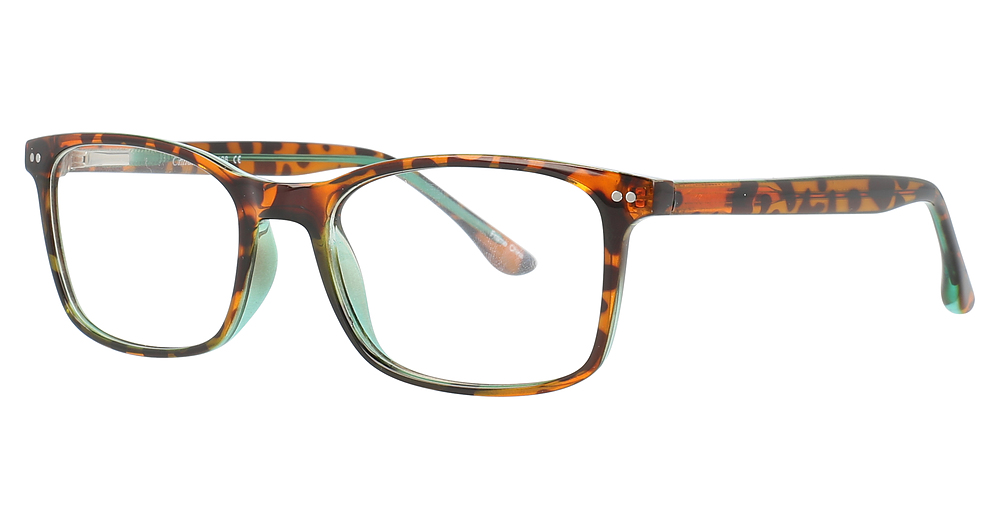 TORTOISE TEAL