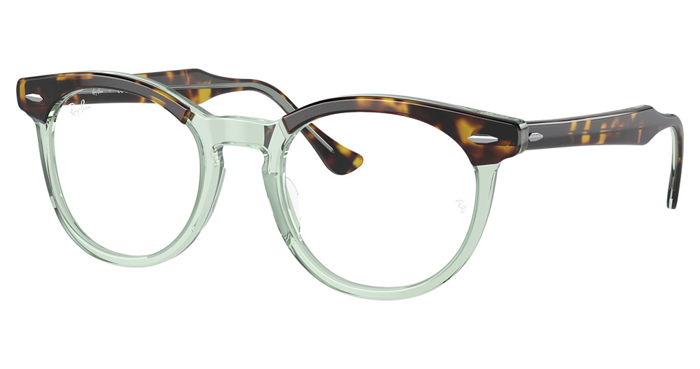 Ray-Ban RX5598F #N/D round eyeglasses in Havana on Transparent Grey