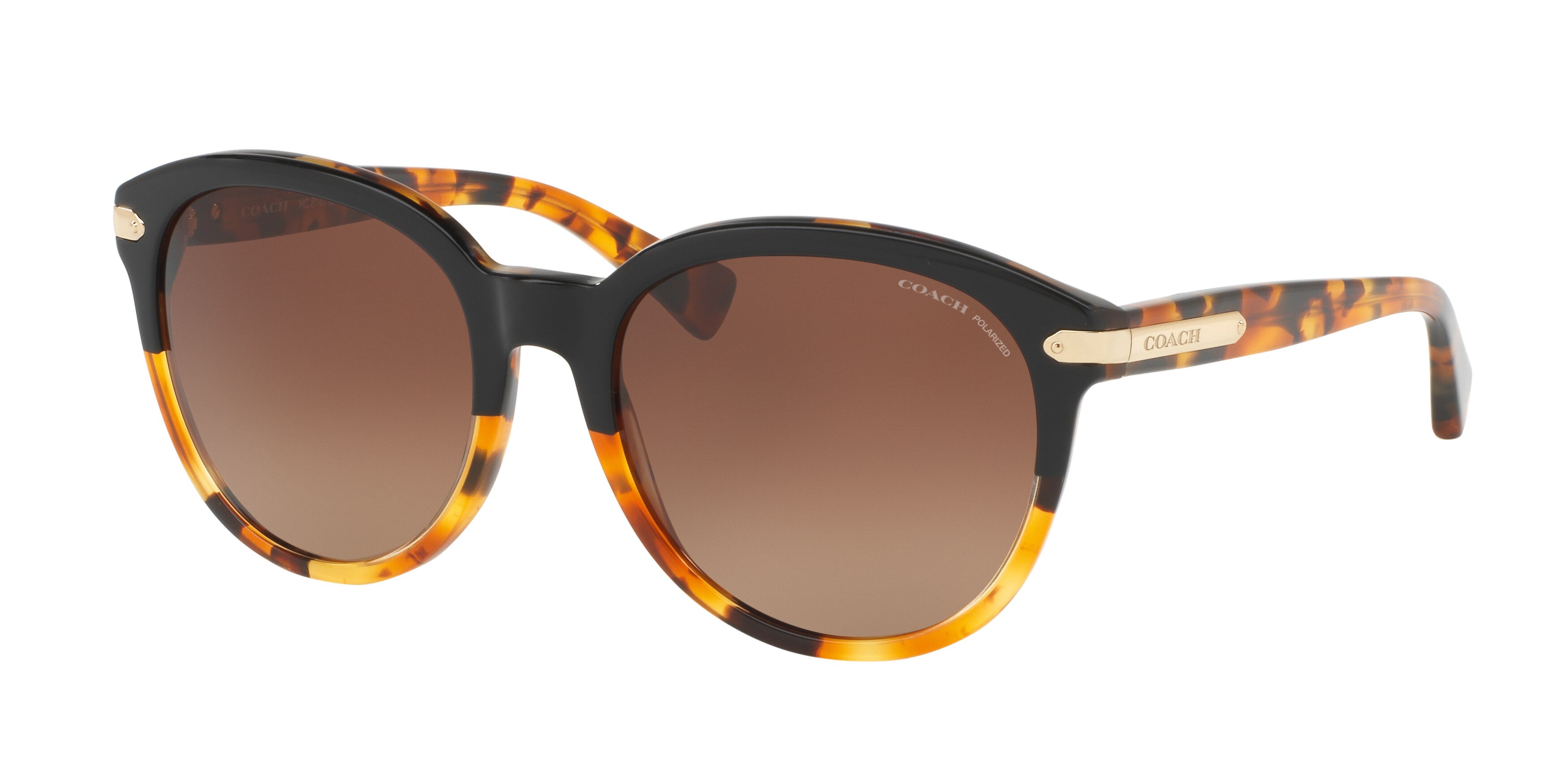 BLACK TORTOISE/TORTOISE