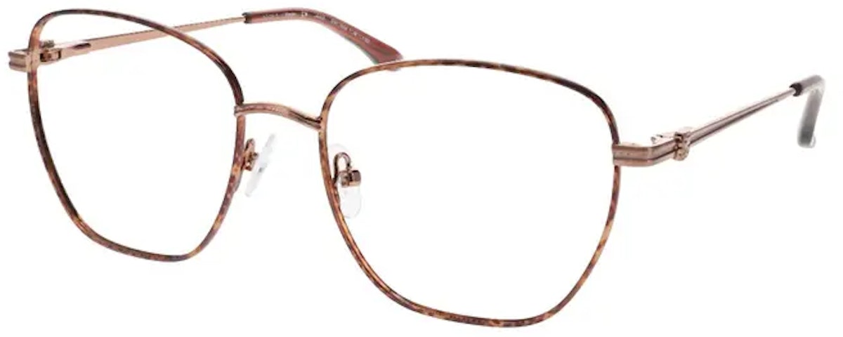 BROWN TORTOISE