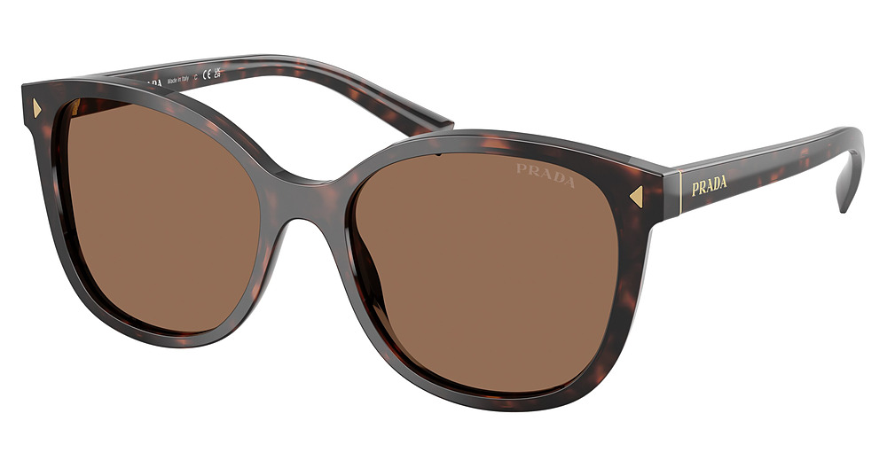 TARTARUGA RADICA / DARK BROWN