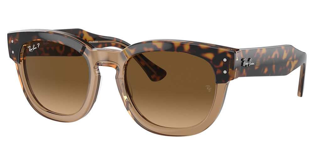 HAVANA ON TRANSPARENT BR / BROWN GRADIENT POLAR