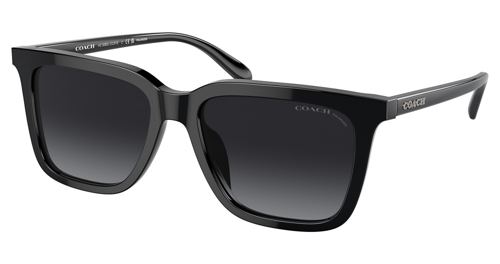 BLACK / GREY GRADIENT POLAR