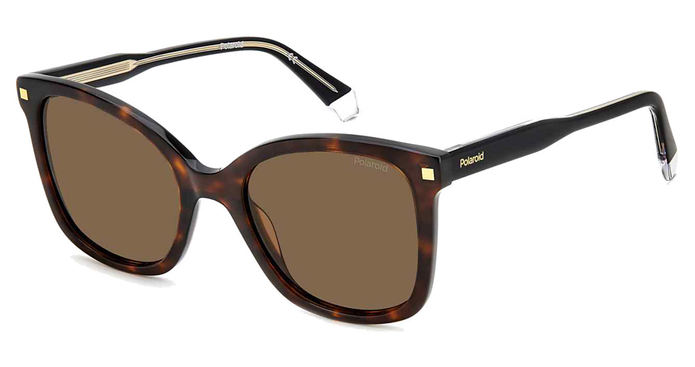 HVN / BRONZE POLARIZED