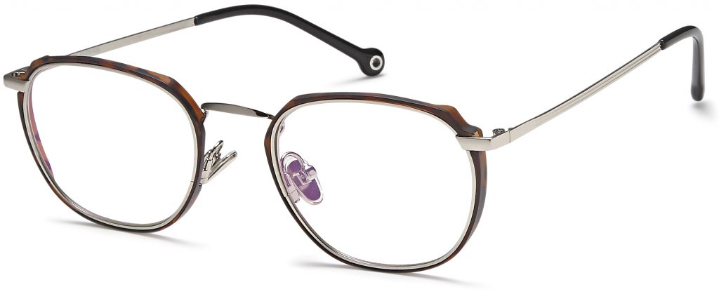 01-SiLVER/BROWN
