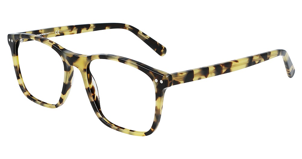 TOKYO TORTOISE