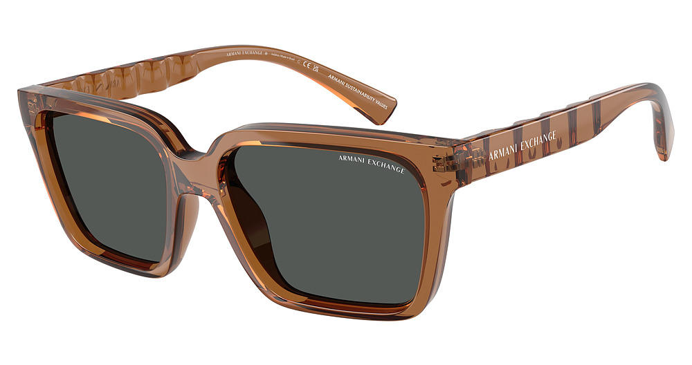 SHINY TRANSPARENT BROWN / DARK GREY