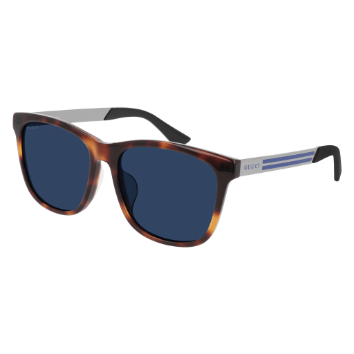 Gucci GG0695SA round sunglasses in Havana Ruthenium Blue/Blue