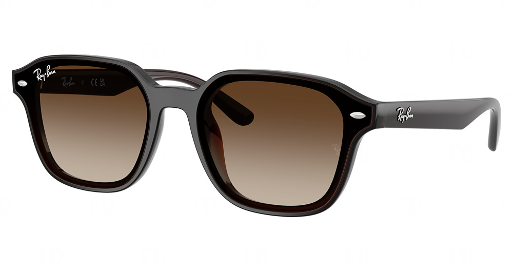Ray-Ban RB4458D round sunglasses in Transparent Dark Brown/Gradient Brown