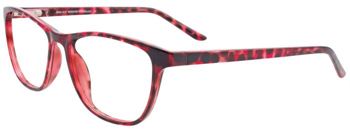 Red Tortoise