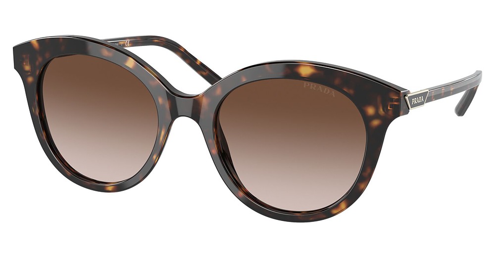 TORTOISE / BROWN GRADIENT