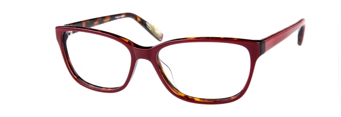 Red Tortoise