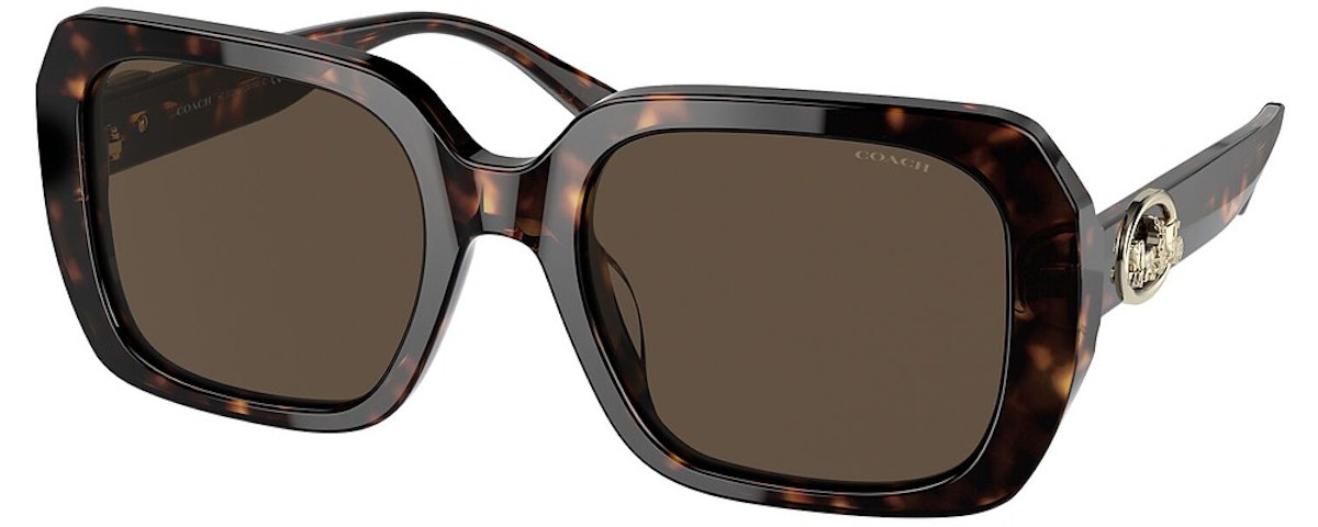 DARK TORTOISE / DARK BROWN SOLID