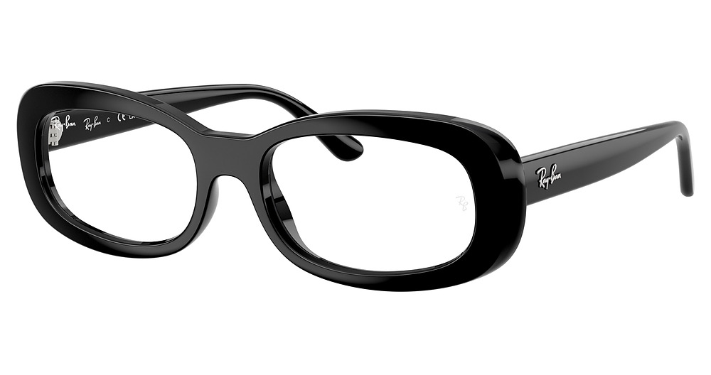 Ray-Ban RX2221VF round eyeglasses in Black