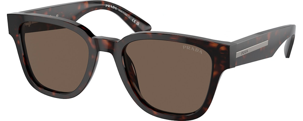 HAVANA / BROWN