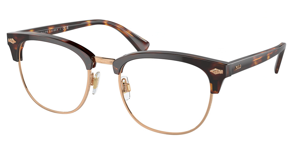SHINY BROWN TORTOISE