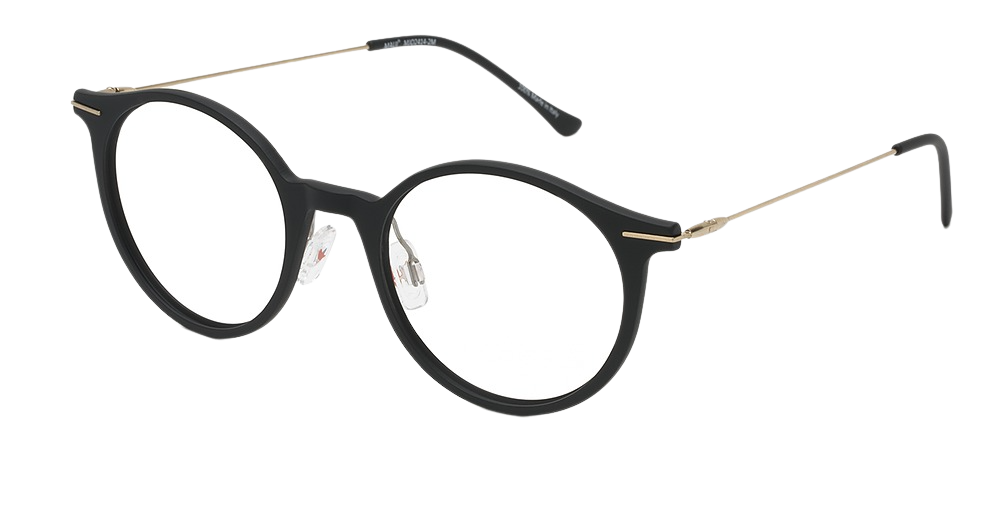 Black Matte with Gold Temples
