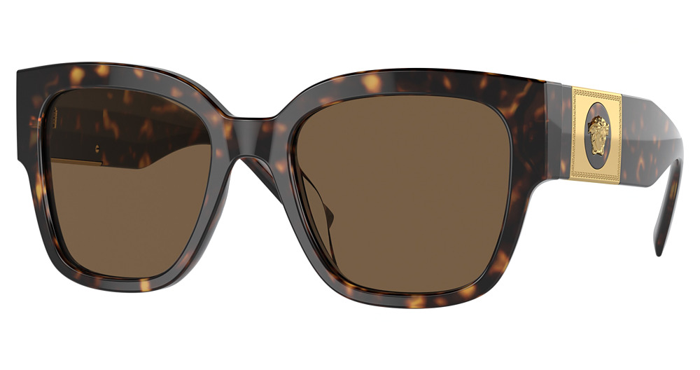 DARK HAVANA / DARK BROWN