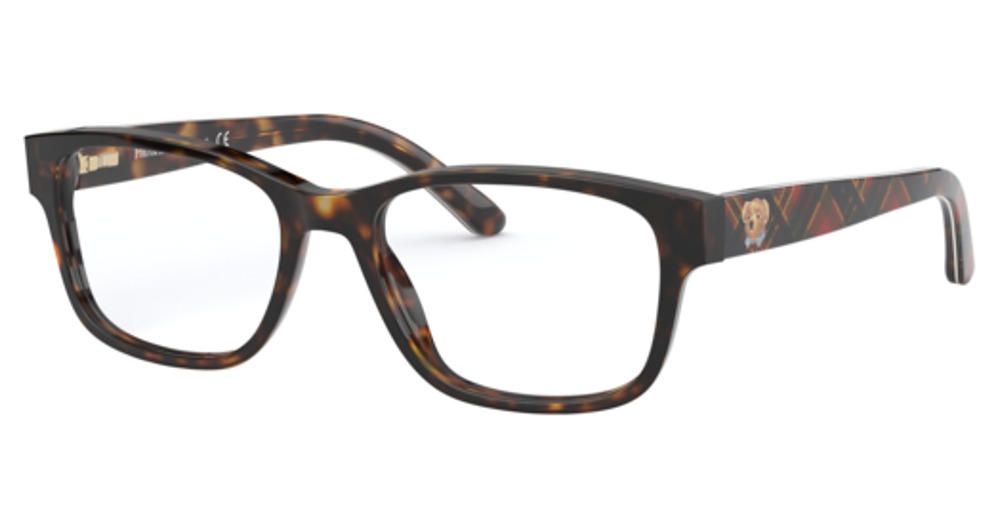 SHINY DARK HAVANA