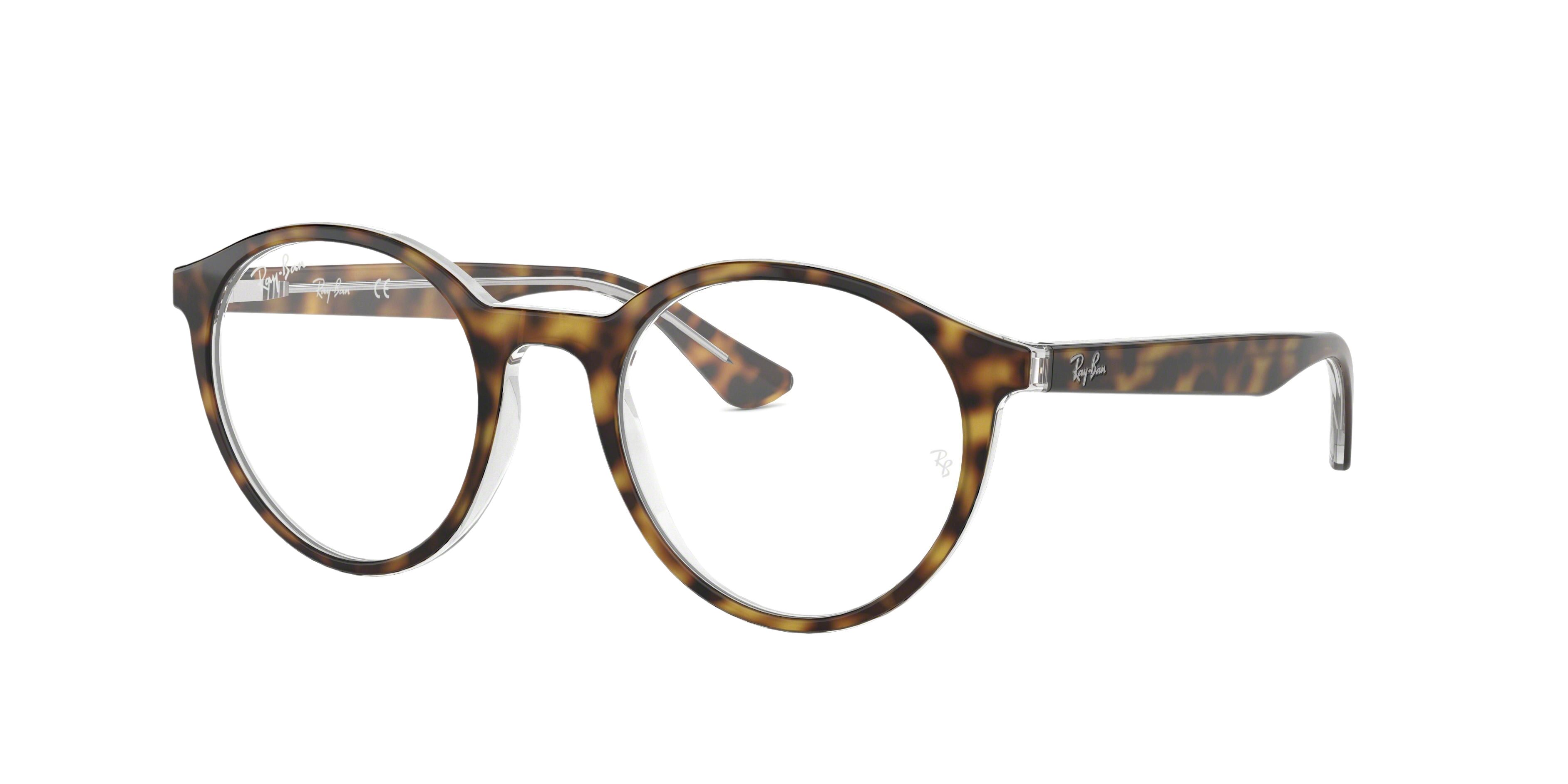 TOP HAVANA ON TRANSPARENT