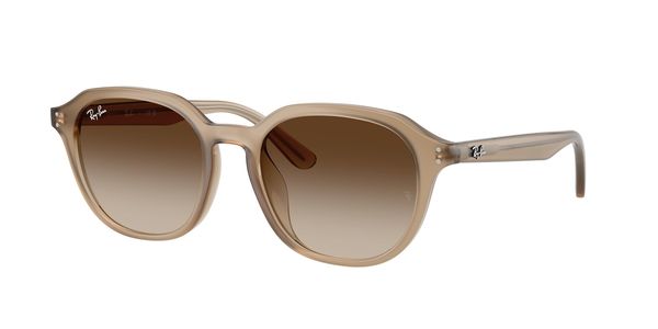 TURTLEDOVE / GRADIENT BROWN