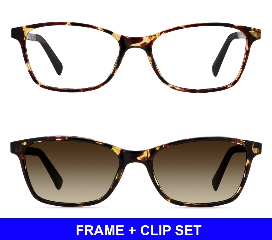 YELLOW TORTOISE - SET