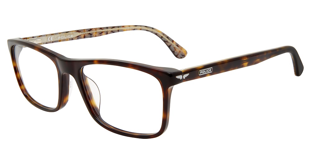 Tortoise 0722