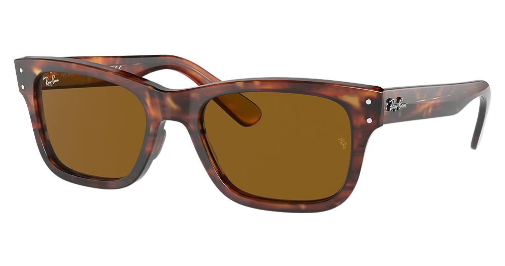 Ray-Ban RB2283 MR BURBANK round sunglasses in Striped Havana/Brown