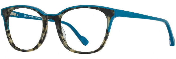Teal/Gray Tort