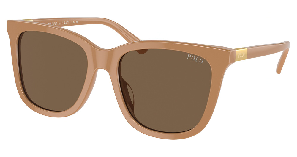 SHINY BROWN / DARK BROWN