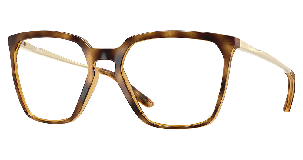 POLISHED BROWN TORTOISE