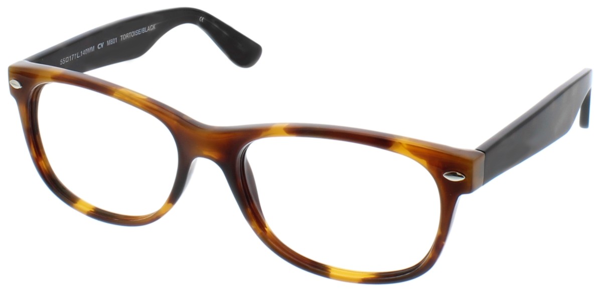 TORTOISE/BLACK
