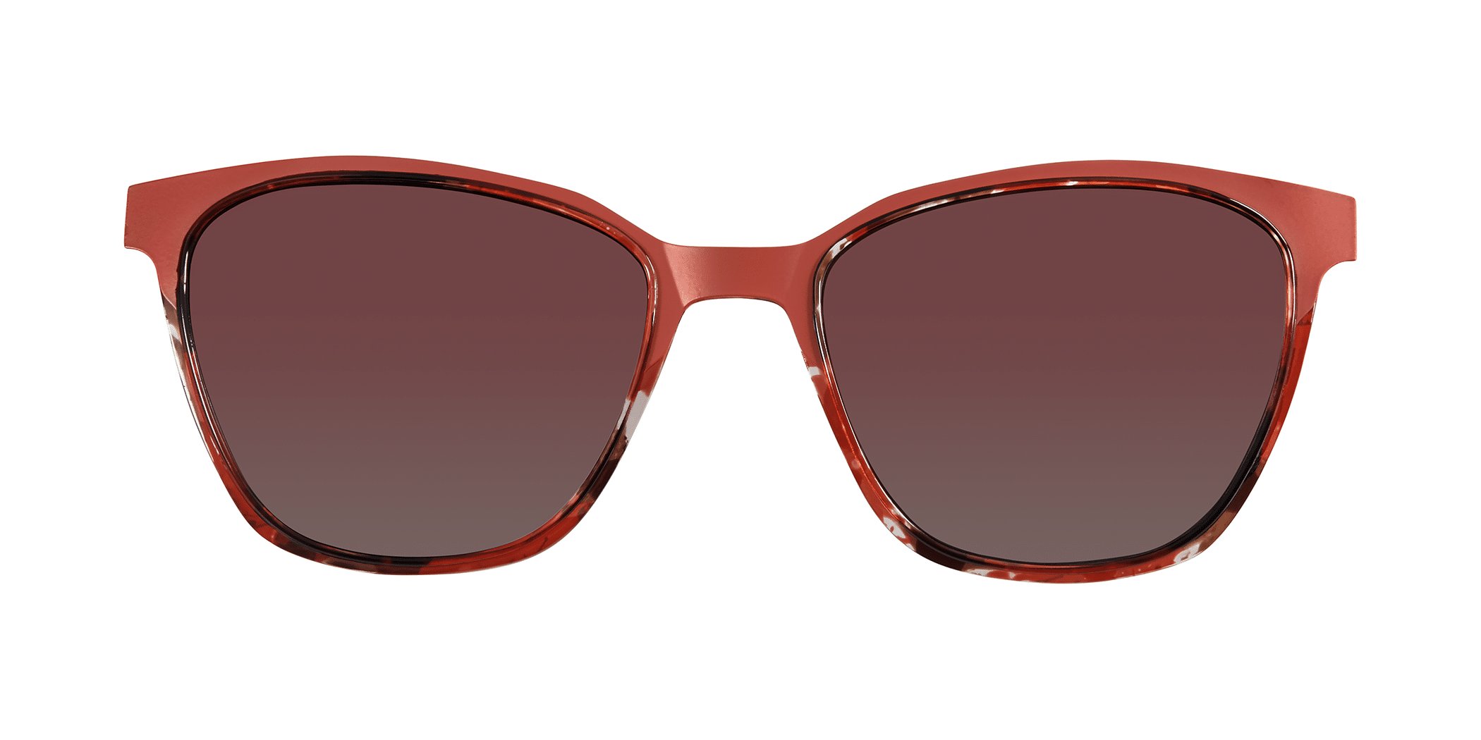BURGUNDY TORTOISE