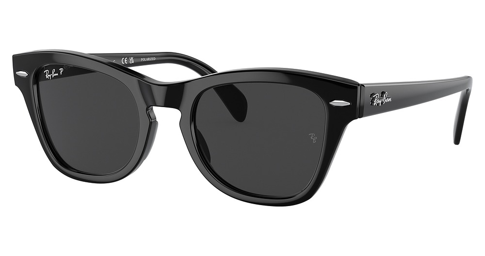 Ray-Ban RB0707SF round sunglasses in Black/Polarized Black