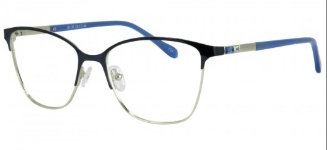 Blue/Silver