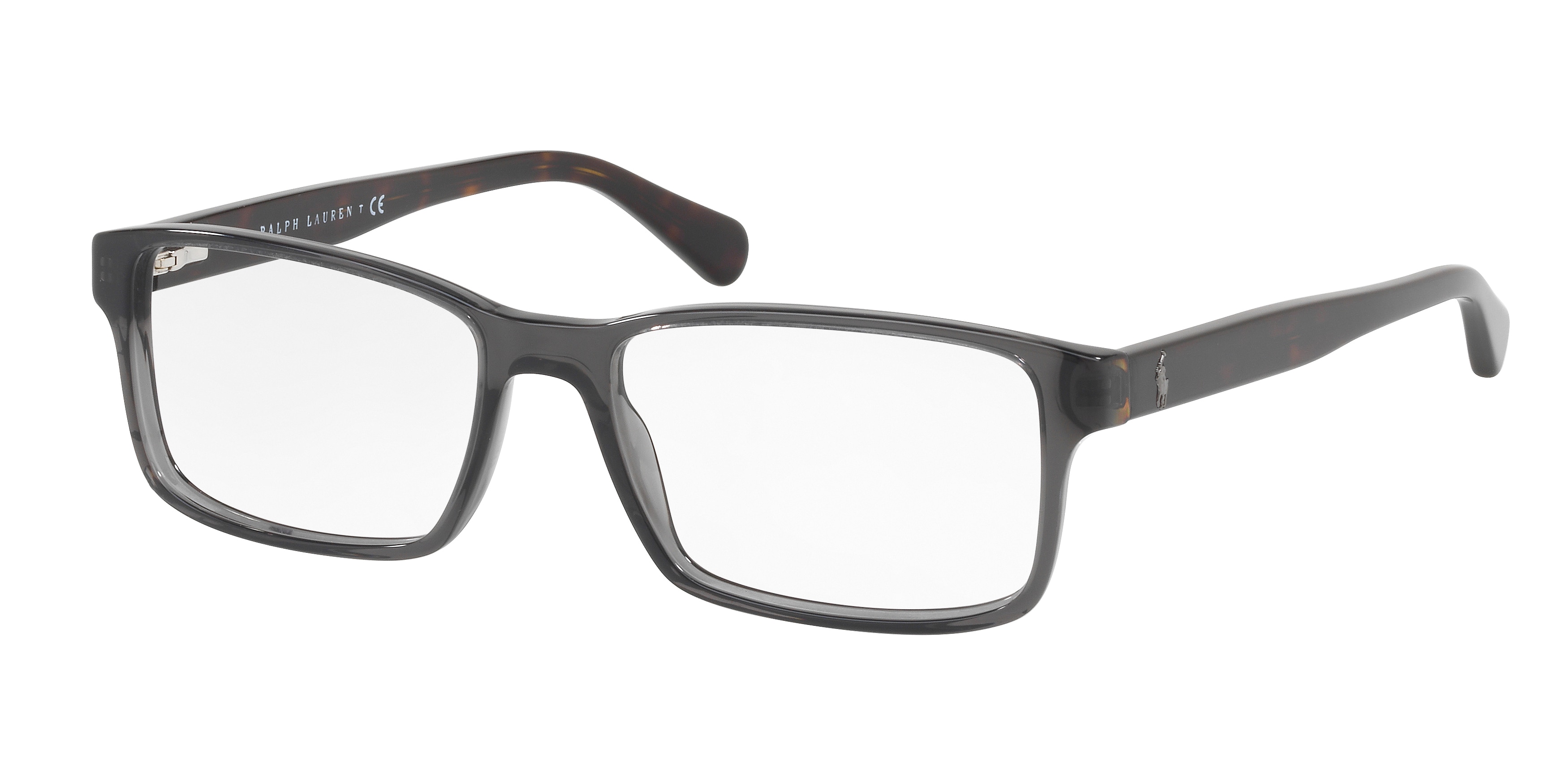 SHINY TRANSPARENT GREY