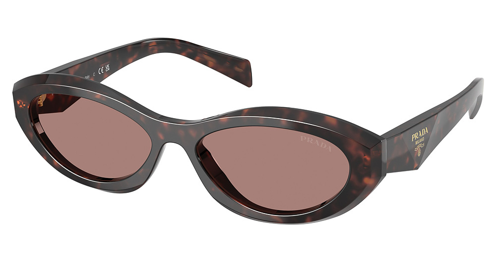 ROOT TORTOISE / LIGHT BROWN