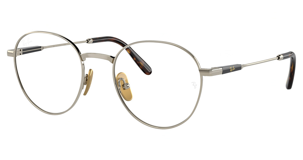 Ray-Ban RX8782 DAVID TITANIUM round eyeglasses in Arista