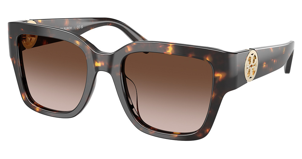 BROWN TORTOISE / BROWN