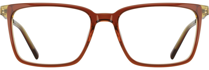 Chestnut / Olive