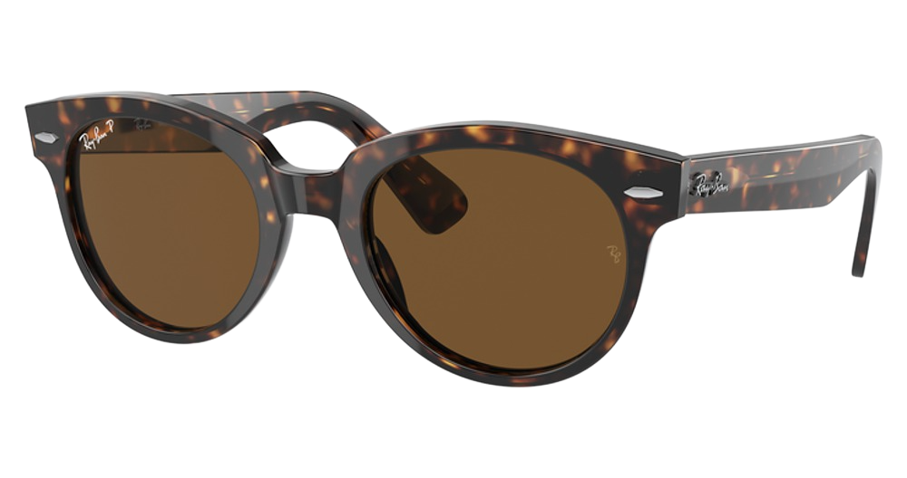 Ray-Ban RB2199 ORION round sunglasses in Tortoise/Brown Polarized