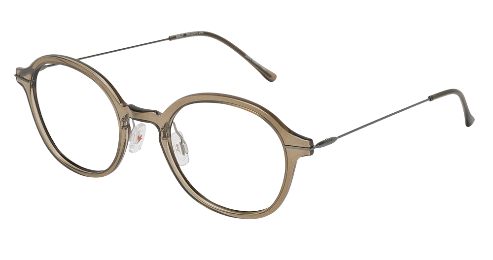 Transparent Taupe with Dark Gunmetal Temples
