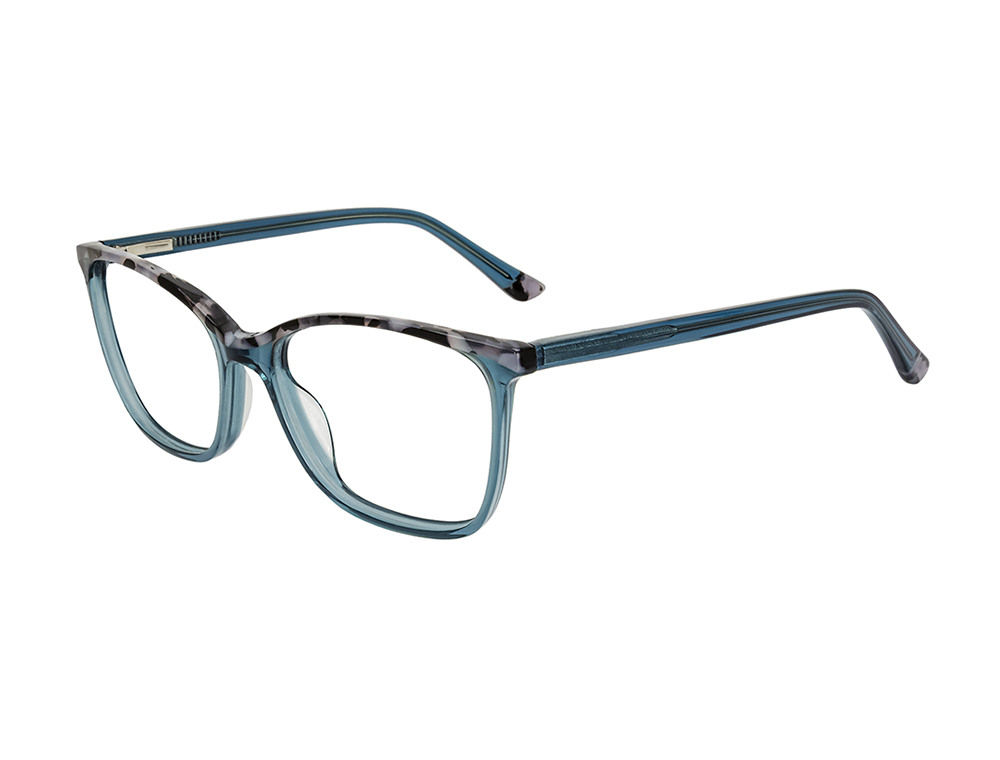 Teal/Grey Tortoise