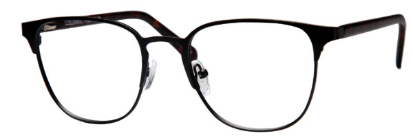 Black/Tortoise
