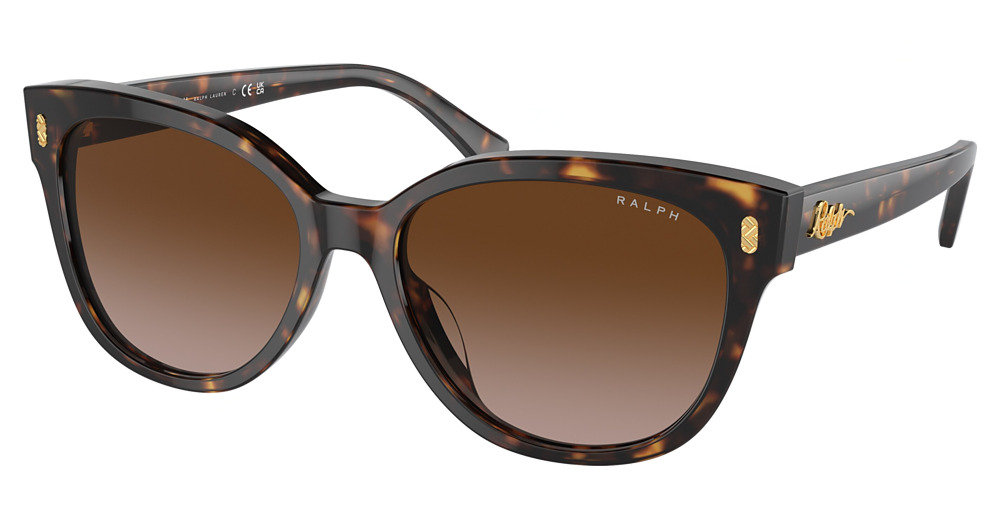 BLACK HAVANA / GRADIENT BROWN