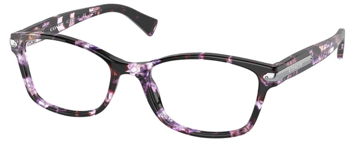 PURPLE TORTOISE