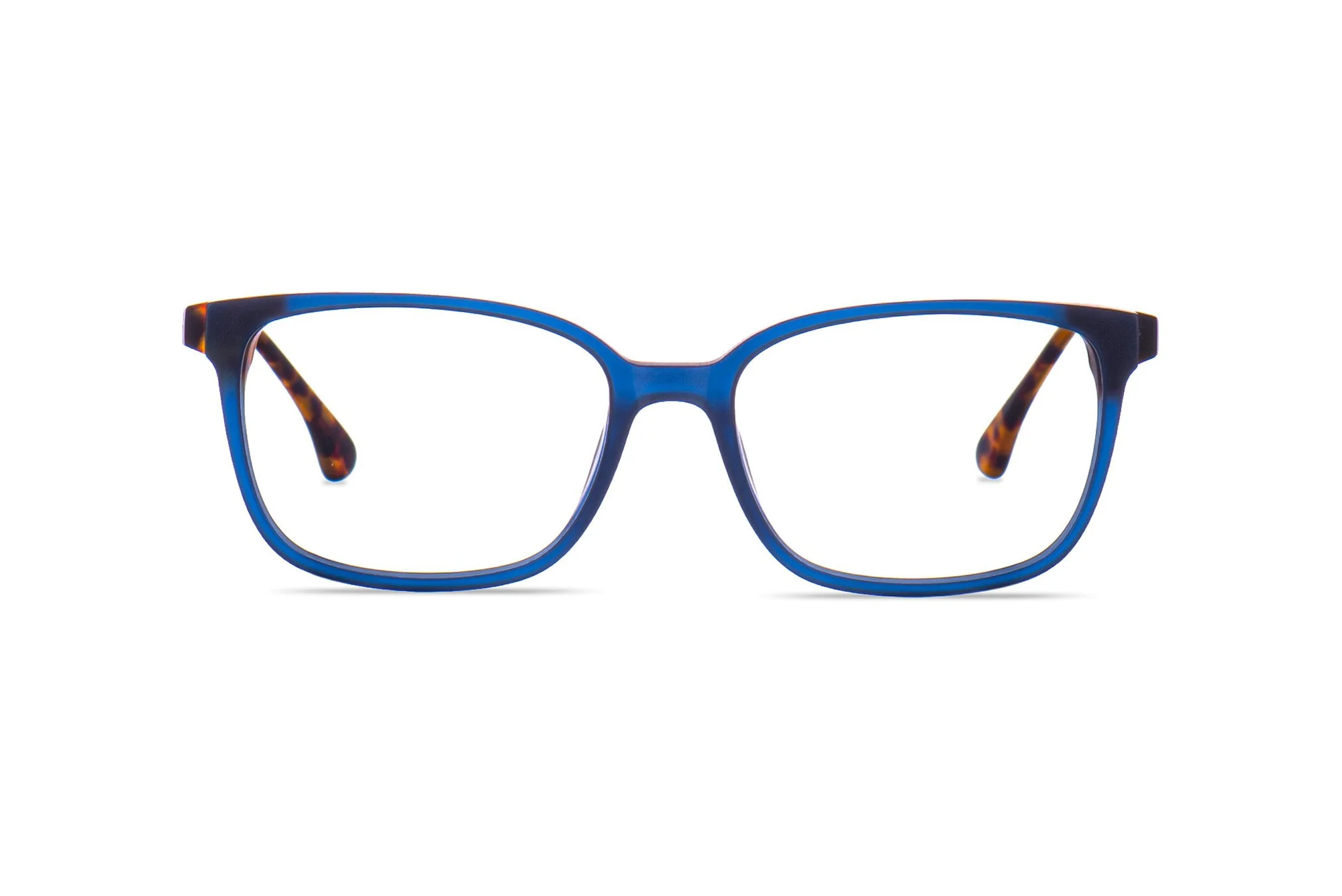 BLUE TORTOISE