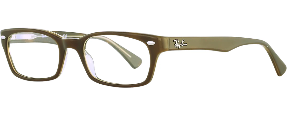 BROWN/TRANSPARENT HAVANA